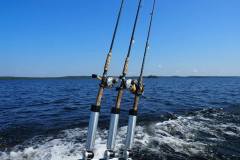 3 Rods
