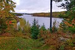 Seagull River
