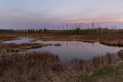 Seagull Creek Dusk