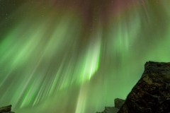 La lyset bli til  (Let there be light)