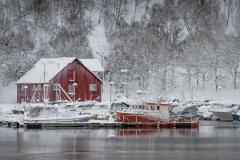 Frozen Boats