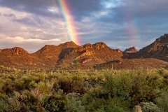 Arizona Rainbow