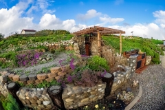 Ventura Wine Celler