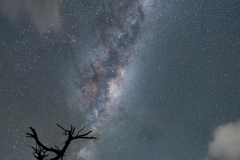 Patagonia Milky Way